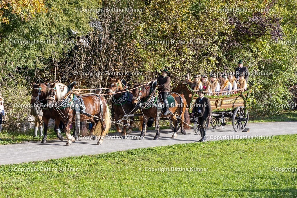 LBT24-101 | foto-bettina-krinner - Realisiert mit Pictrs.com
