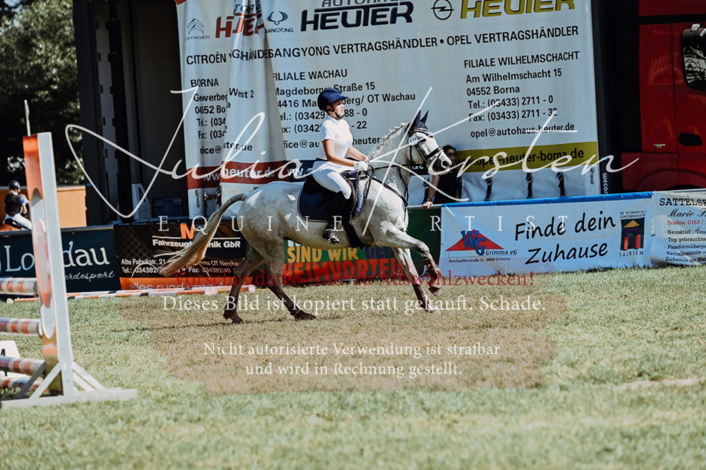 DSC_6517 | Pferde- und Turnierfotografie in Westsachsen. Pferdeportraits, Auftragszeichnungen und intuitive Kunst.