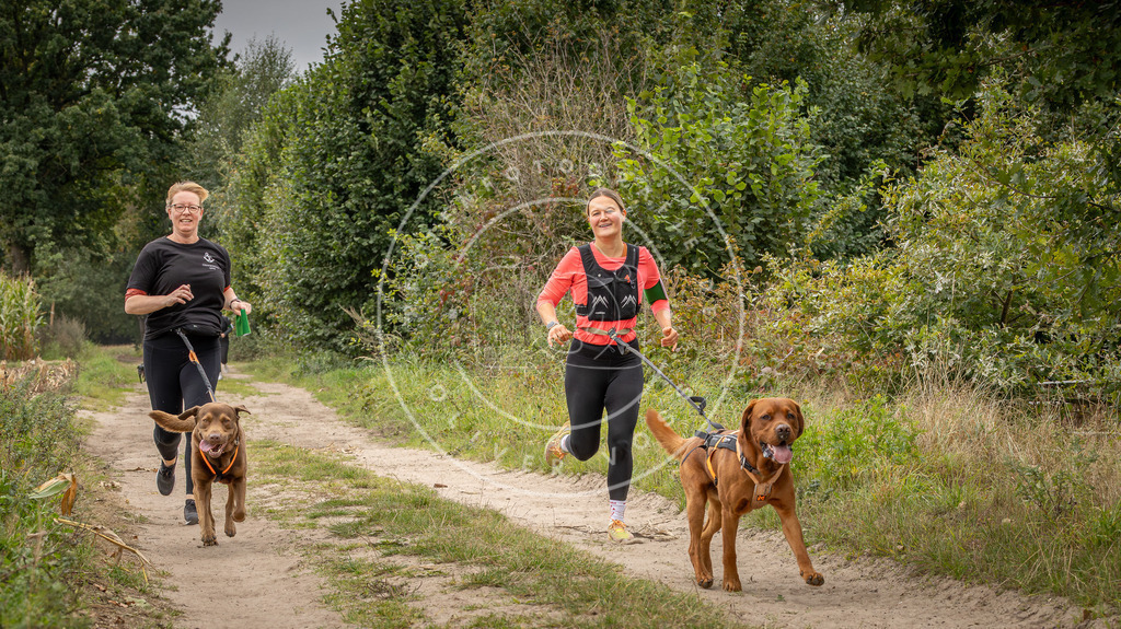 Pfotenfotografie_DV3A7042 | Hundefotografie, Tierfotograf, Pfotenfotografie, Fotoshooting Hund, Hunde Portrait, Hundesport, Hundeportraits, Heideshooting, Hunde, Sportfotograf, Hundefotograf, Turnierhundsport, THS,  - Realisiert mit Pictrs.com
