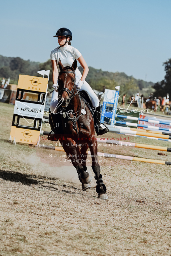DSC_9992 | Pferde- und Turnierfotografie in Westsachsen. Pferdeportraits, Auftragszeichnungen und intuitive Kunst.