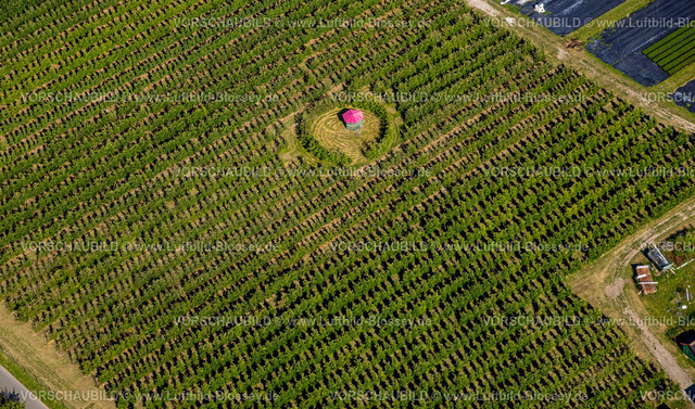 Dortmund230701958 | Luftbild, Pavillon in landwirtschaftlichem Feld, Bönninghauser Straße, Hostedde, Dortmund, Ruhrgebiet, Nordrhein-Westfalen, Deutschland