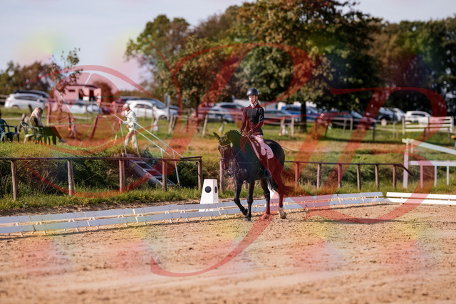 2026_10_03_Siefer-Hof_115627_Z81_97471889 | Professionelle Reitsport-, Turnier- und Eventfotografie von Robert Broda. Galerien mit ausgewählten und bearbeiteten Bildern direkt online ansehen und bestellen.