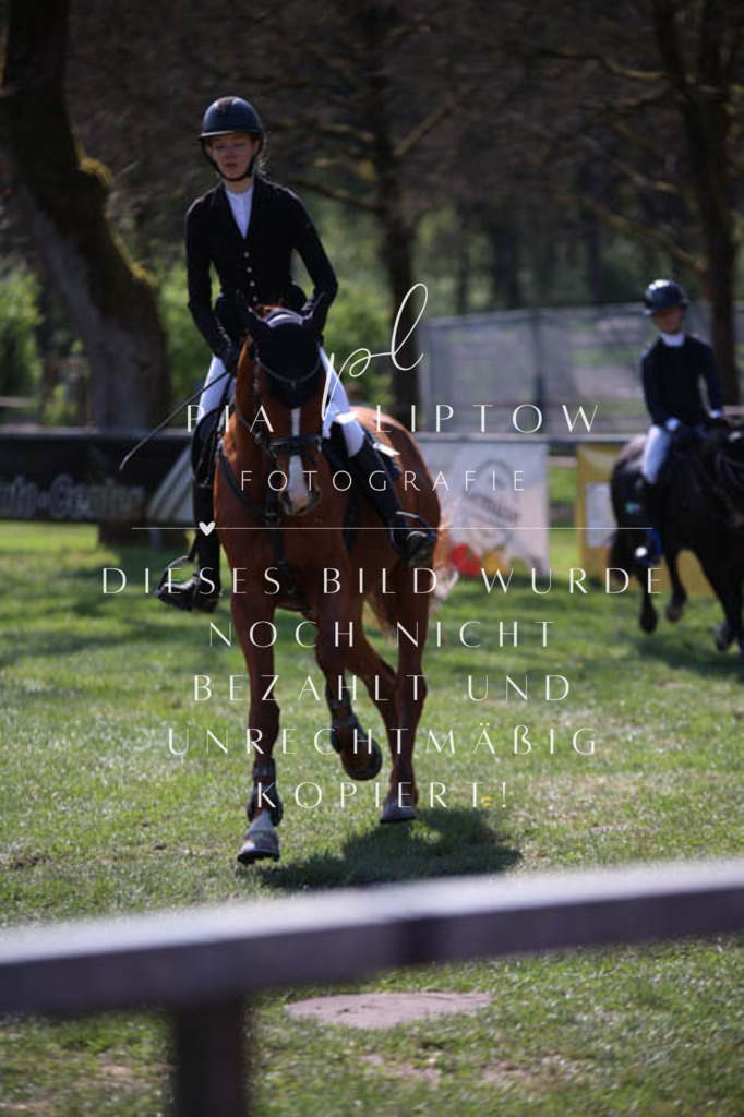 IMGT5772 | pl-fotografie