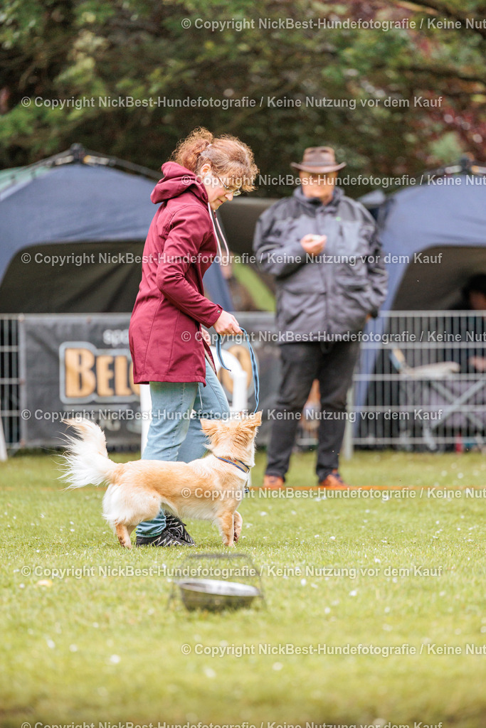 RO-Blumenthal-2026-Nickbest-Hundefotografie-0665 | Dein Hund! Dein Moment! Deine Erinnerungen! Hundefotografie in Bremen Blumenthal. Ich fange die besonderen Momente deines Vierbeiners ein – ob Indoor mit Blitzanlage oder in der freien Natur. Sicher dir dein Moment und dein Termin für eure Erinnerungen.