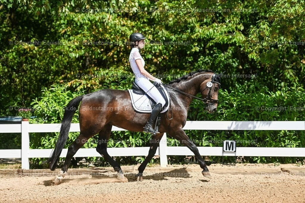 20230715_02_Dressurreiterprüfung Kl.L_0046 | equistock
