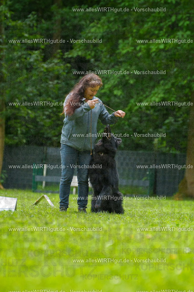 @allesWIRTHgut_Tierfotografie - www.allesWIRTHgut.de - 7R501683 | Professionelle Tierfotografie in Mönchengladbach von Daniel Wirth (allesWIRTHgut). Liebevolle & natürliche Bilder von Hunden & Katzen für unvergessliche Erinnerungen.