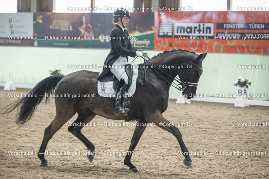 _D5A5365 | Emotionale Pferde- & People-Fotografie rund um Heidelberg, Leimen & Umgebung. Natürliche Fotos von Pferd, Mensch & Familie. Jetzt Termin sichern!