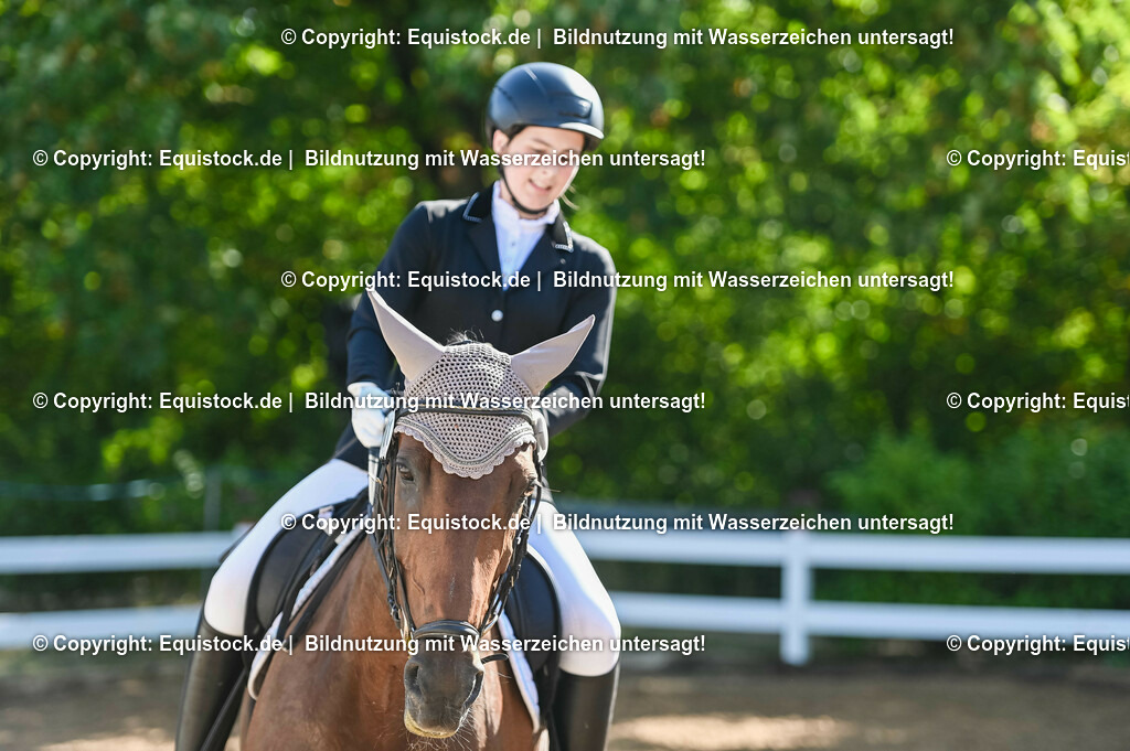 20230716_04_Dressurreiterprüfung Kl.A_0100 | equistock