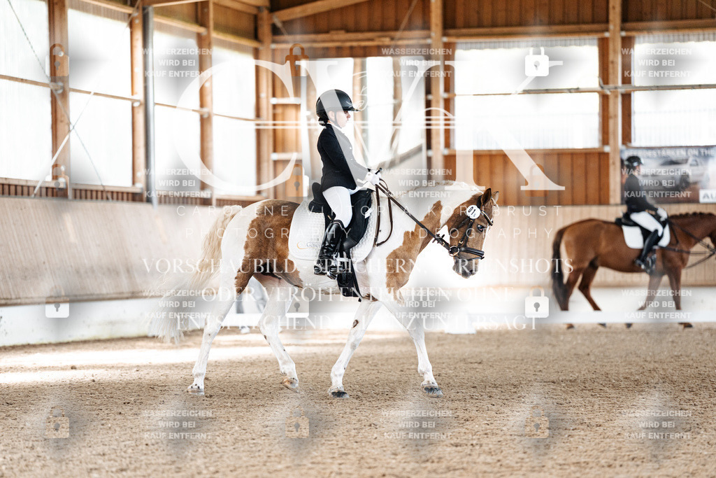 CK909593 | Turnierfotografie Pferdefotografie Trier Rheinland-Pfalz Pferdesport Reitsport Tierfotografie Sportfotografie Pferdevideo Pferdevideografie Equestrianvideography equestrianphotography  - Realized with Pictrs.com