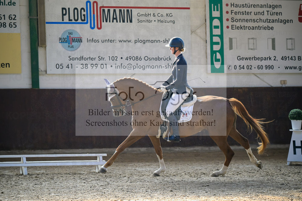 Reitturnier Voxtrup | Entdecke hochwertige Reitturnierfotos von Foto Oger. Professionell, emotional und authentisch – jetzt Lieblingsmomente im Shop bestellen.Deutschlandweite Turnierfotografie. - Realisiert mit Pictrs.com