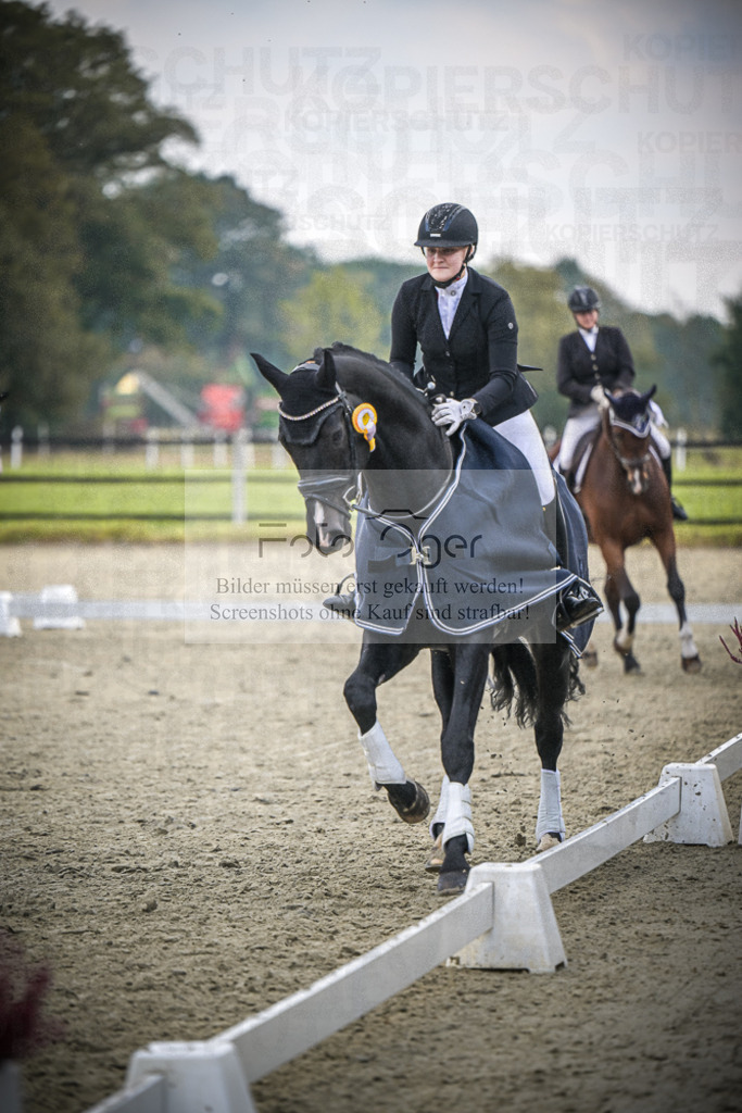 DOS_B781 | Entdecke hochwertige Reitturnierfotos von Foto Oger. Professionell, emotional und authentisch – jetzt Lieblingsmomente im Shop bestellen.Deutschlandweite Turnierfotografie. - Realisiert mit Pictrs.com