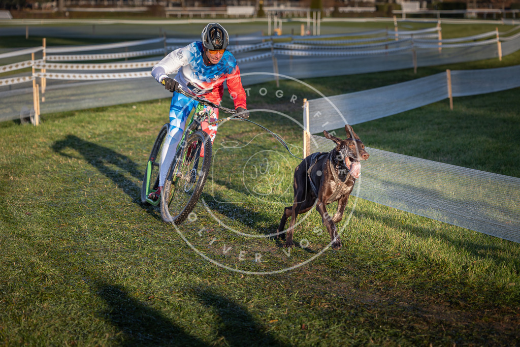 CaniXpix_0L8A3053 | Hundefotografie, Tierfotograf, Pfotenfotografie, Fotoshooting Hund, Hunde Portrait, Hundesport, Hundeportraits, Heideshooting, Hunde, Sportfotograf, Hundefotograf, Turnierhundsport, THS,  - Realisiert mit Pictrs.com