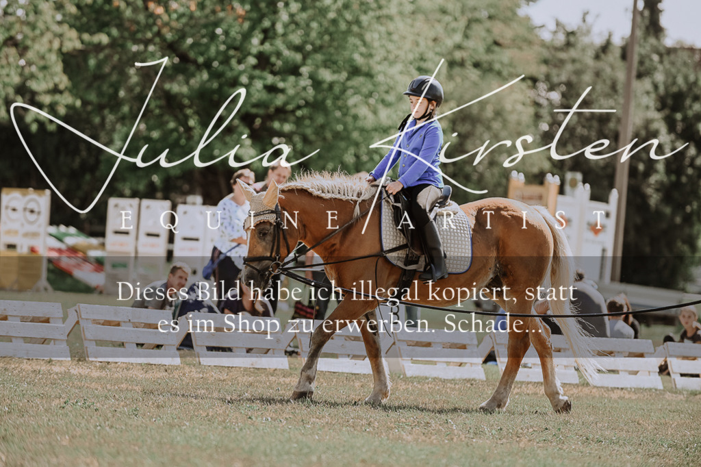 DSC_7502 | Pferde- und Turnierfotografie in Westsachsen. Pferdeportraits, Auftragszeichnungen und intuitive Kunst.