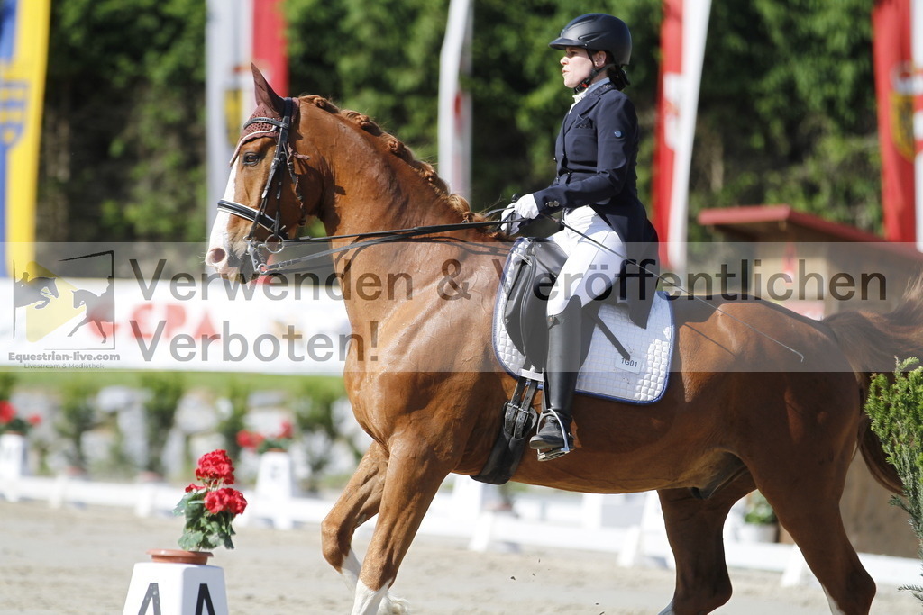 _MG_3010 | equestrian-live-com