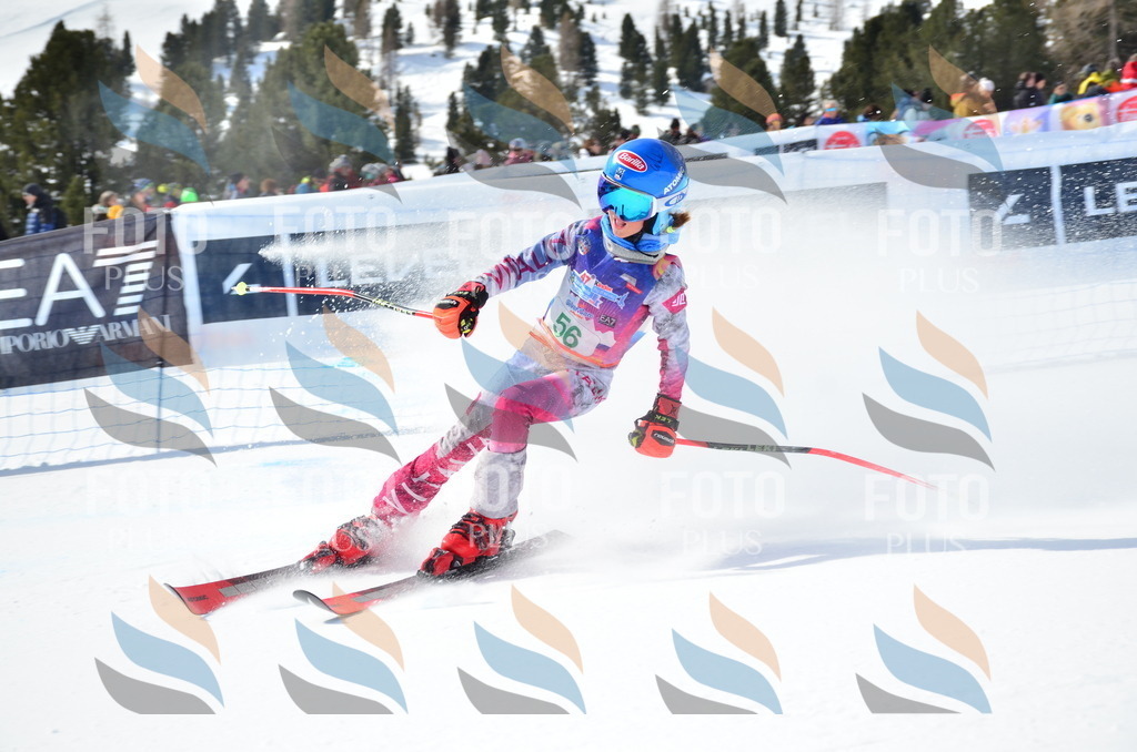 SLV_5492 | holidayphoto