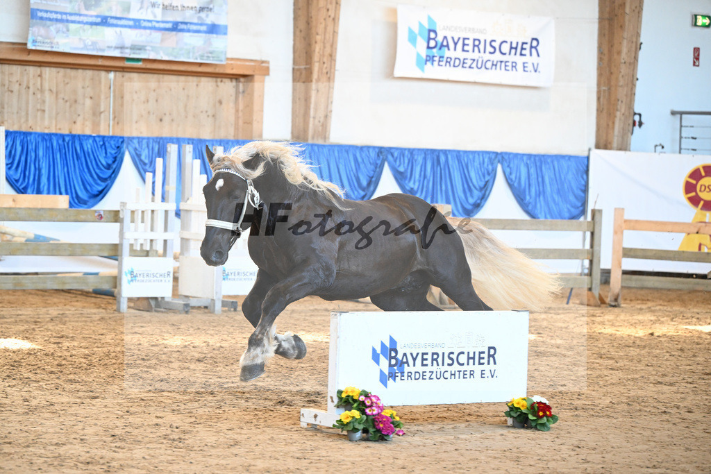 Kat-Nr. 5 Solar v. Schmauzenberg_Schuster_8260269 | hf-fotografie - Realizzato con Pictrs.com