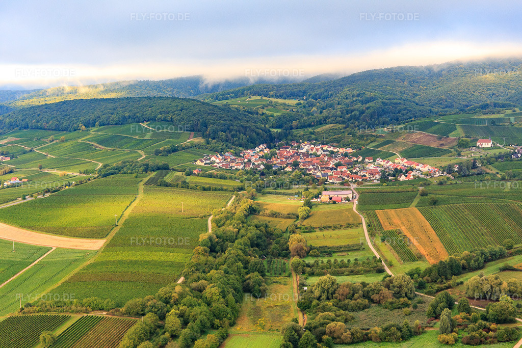 Luftbild: Ortsansicht von Osten im Ortsteil Gleiszellen in Gleiszellen-Gleishorbach im Bundesland Rheinland-Pfalz in Deutschland. Foto: IMG_103294.jpg vom 10.09.2017 durch Werner Riehm/FLY-FOTO.de