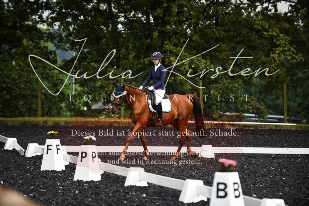 DSC_2908 | Pferde- und Turnierfotografie in Westsachsen. Pferdeportraits, Auftragszeichnungen und intuitive Kunst.
