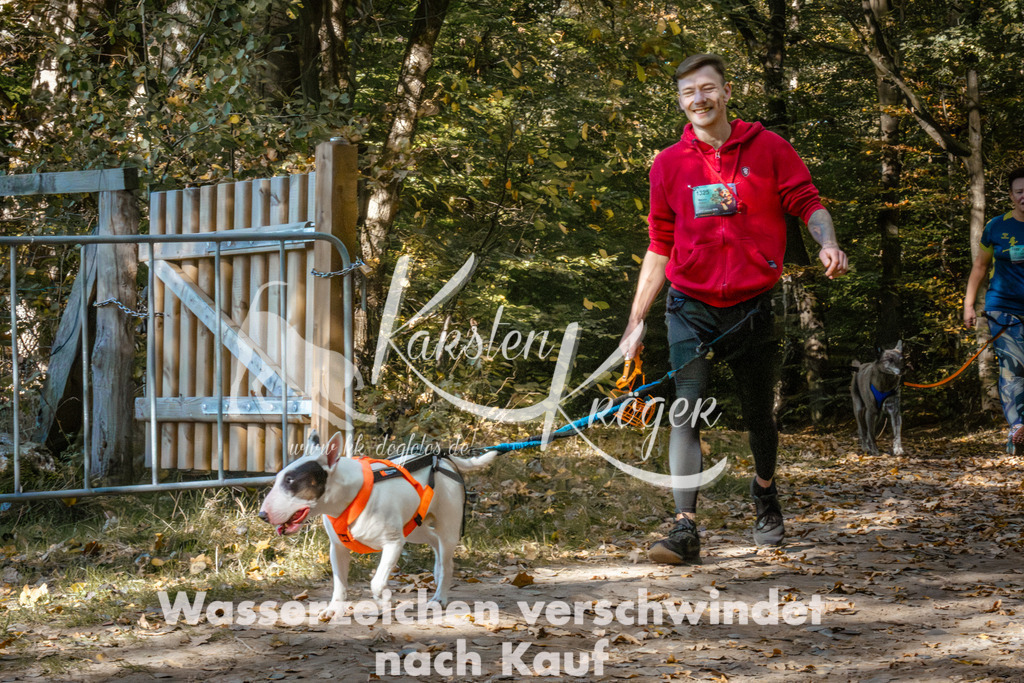 1237_ZZ95737 | kk-dogfotos