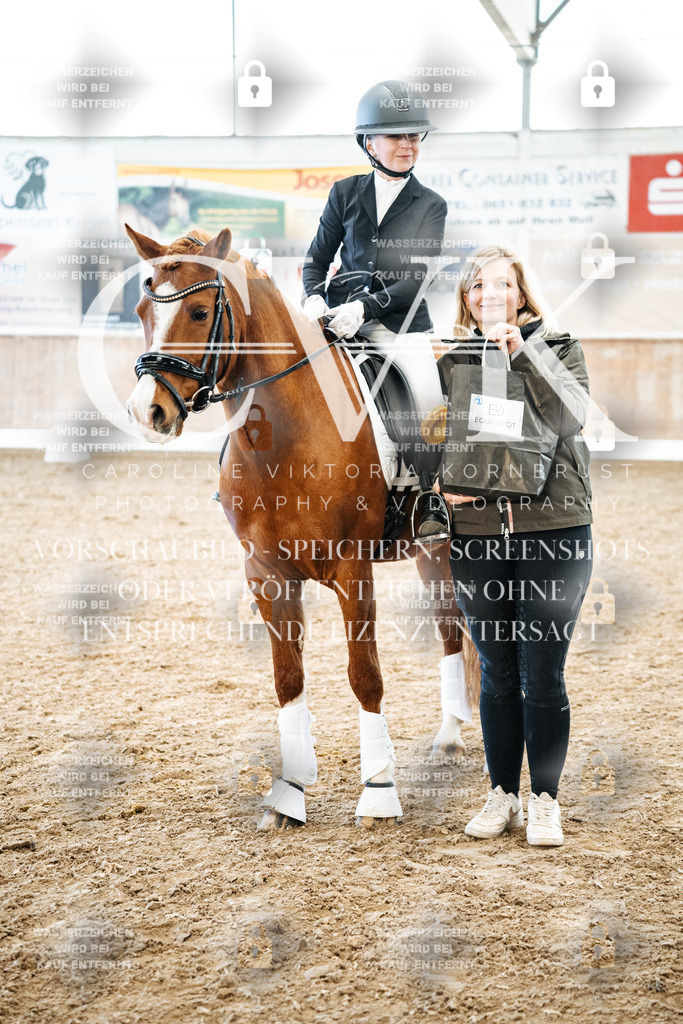 CK703025 | Turnierfotografie Pferdefotografie Trier Rheinland-Pfalz Pferdesport Reitsport Tierfotografie Sportfotografie Pferdevideo Pferdevideografie Equestrianvideography equestrianphotography  - Realized with Pictrs.com