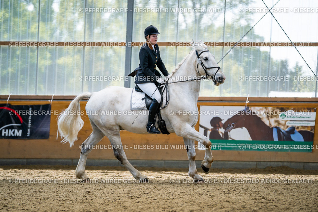 DSC05732 | Pferdegrafie