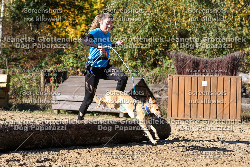 Dog Paparazzi - Strongdog 10-25-2650 | Dog Paparazzi Jeanette Grottendiek Fotografie & Videografie - Realisiert mit Pictrs.com