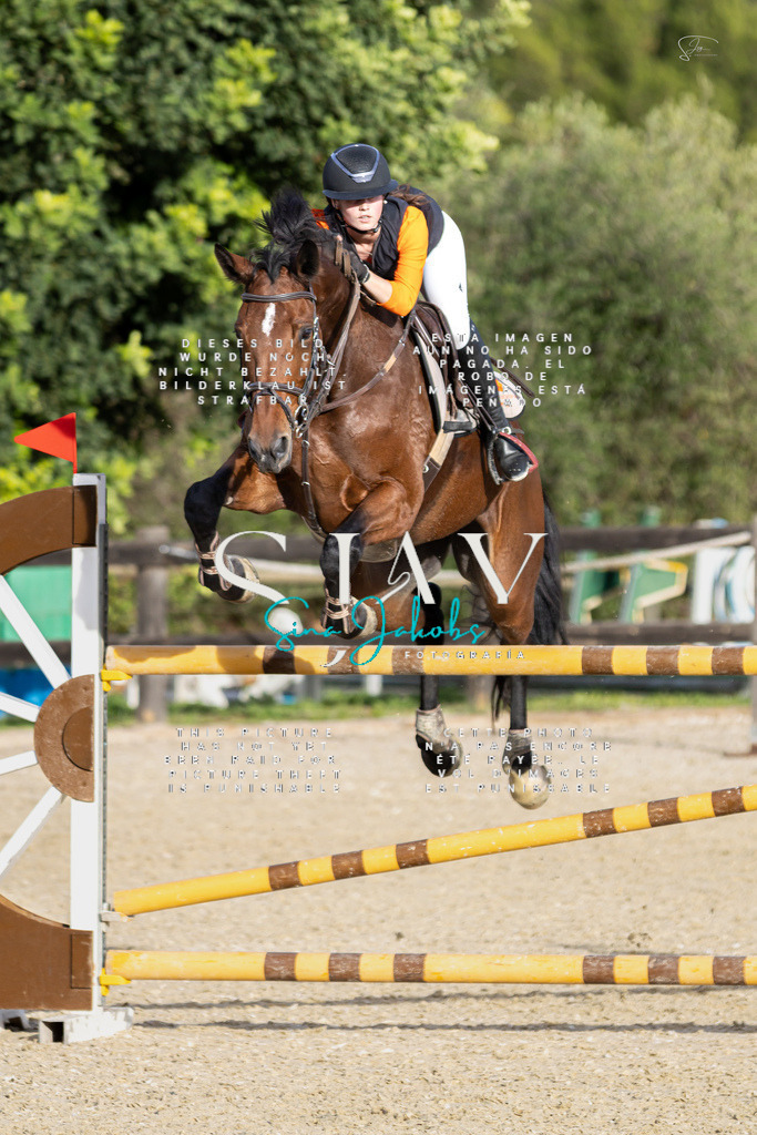 IMG_4936 | s-jay-photography - Realisiert mit Pictrs.com