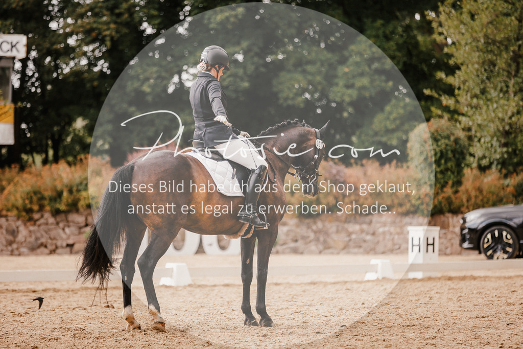 3I6A6341 | Stimmungsvolle Portraits und Reitsportfotografie im Ruhrgebiet und im Münsterland.

Pferdefotografie, Hundefotografie, Tierfotografie, Reportagen, Portraits von Tier und Mensch, Turnierfotografie in Bochum, Recklinghausen, Marl, Haltern am See, Dülmen.. - Realisiert mit Pictrs.com