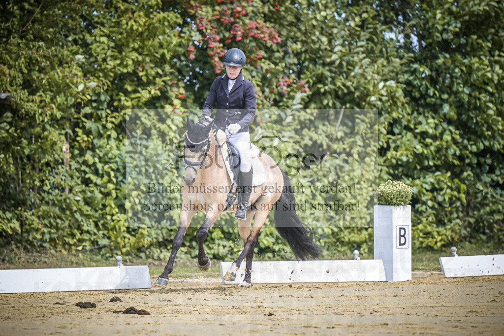 DOS_0266 | Entdecke hochwertige Reitturnierfotos von Foto Oger. Professionell, emotional und authentisch – jetzt Lieblingsmomente im Shop bestellen.Deutschlandweite Turnierfotografie. - Realisiert mit Pictrs.com