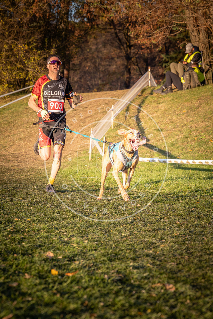 CaniXpix_0L8A1378 | Hundefotografie, Tierfotograf, Pfotenfotografie, Fotoshooting Hund, Hunde Portrait, Hundesport, Hundeportraits, Heideshooting, Hunde, Sportfotograf, Hundefotograf, Turnierhundsport, THS,  - Realisiert mit Pictrs.com