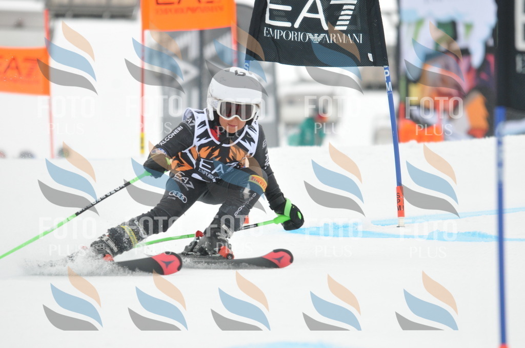 DSC_7695 | holidayphoto