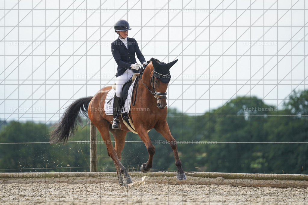 20230826-FAH04561 | Forstinning, 2023, Dressurturnier, Turniersportbilder, Turnierfotografen Bayern, Fotoagentur Herrmann, Reitsportfotografie, Turnierbilder