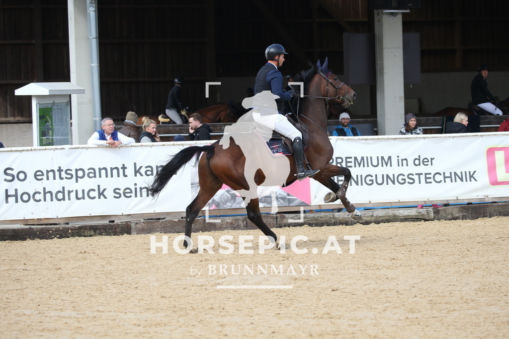 DL2Q4251 | Willkommen bei Brunnmayr - Design & Fotografie – Ihrem Spezialisten für Reitturniere und Pferdeveranstaltungen in Oberösterreich, Salzburg und Bayern! Seit über 17 Jahren sind wir leidenschaftlich dabei.
