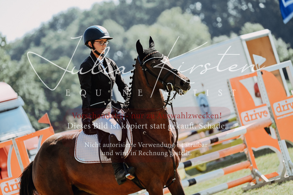 DSC_5566 | Pferde- und Turnierfotografie in Westsachsen. Pferdeportraits, Auftragszeichnungen und intuitive Kunst.