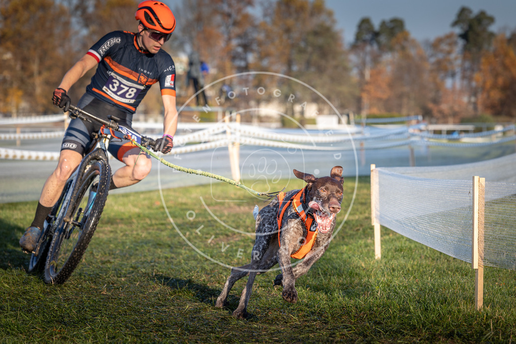 CaniXpix_0L8A3701 | Hundefotografie, Tierfotograf, Pfotenfotografie, Fotoshooting Hund, Hunde Portrait, Hundesport, Hundeportraits, Heideshooting, Hunde, Sportfotograf, Hundefotograf, Turnierhundsport, THS,  - Realisiert mit Pictrs.com