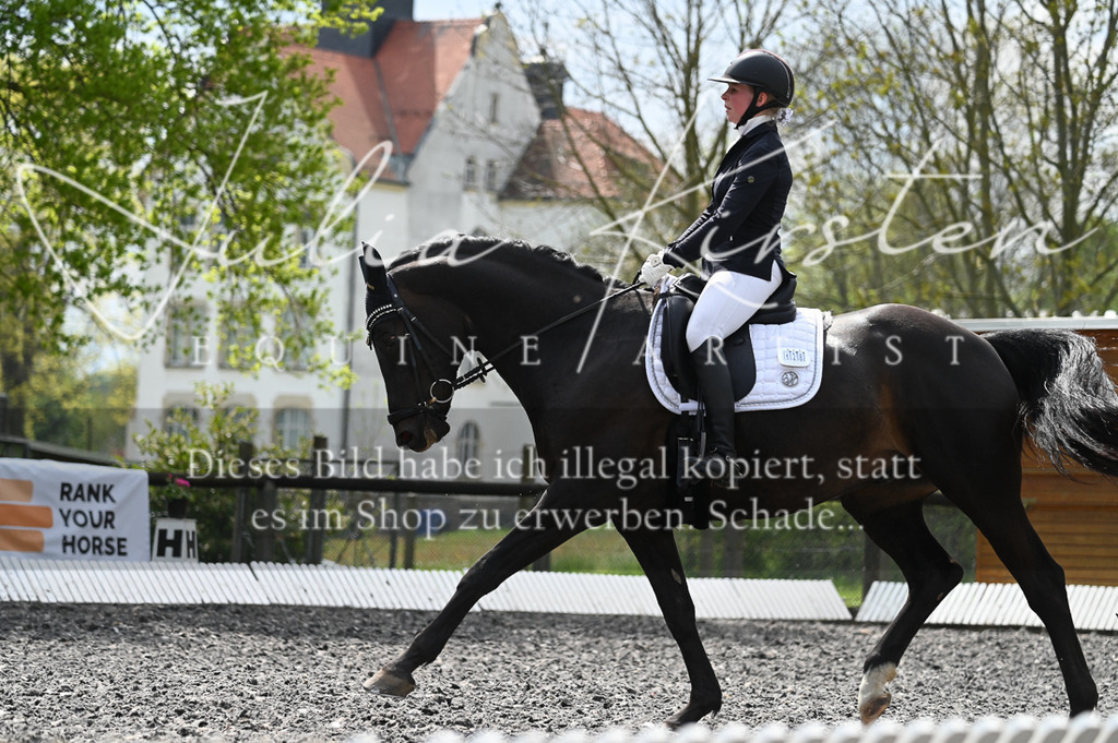 20230512_JK-Röhrsdorf-08-157 | Pferde- und Turnierfotografie in Westsachsen. Pferdeportraits, Auftragszeichnungen und intuitive Kunst.
