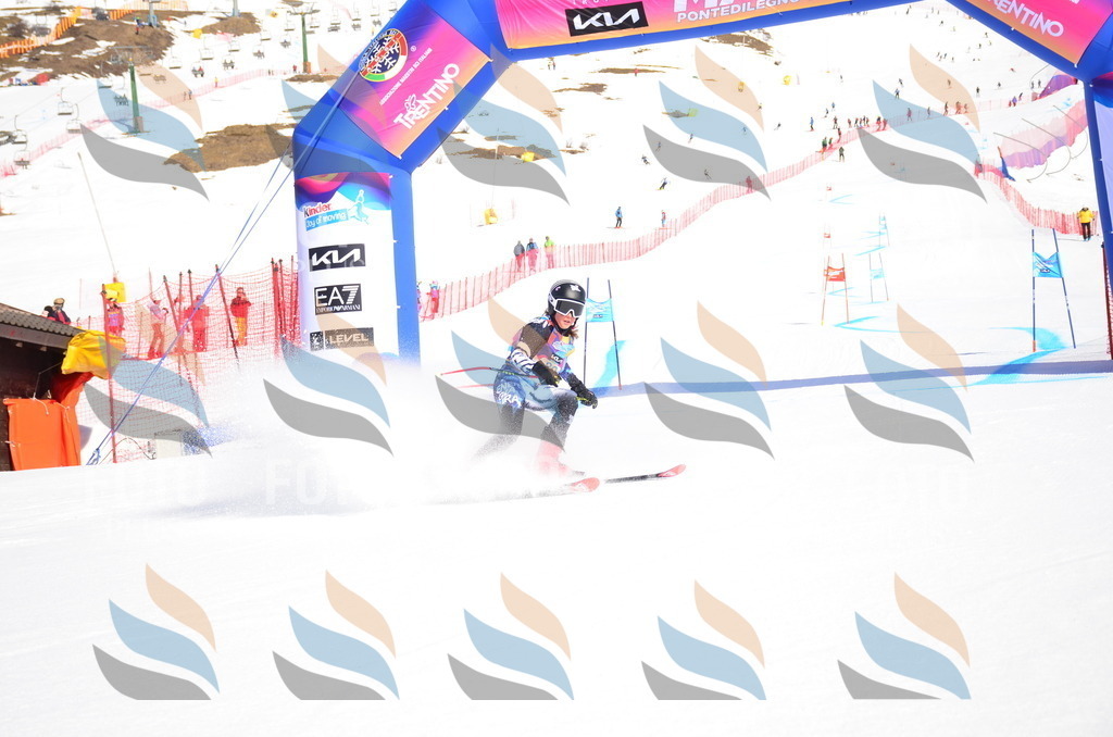 VR4_9201 | holidayphoto