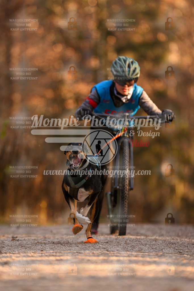 MompixPhotography_DM_AKDM_SO_2025_Scooter-116 | PayLife