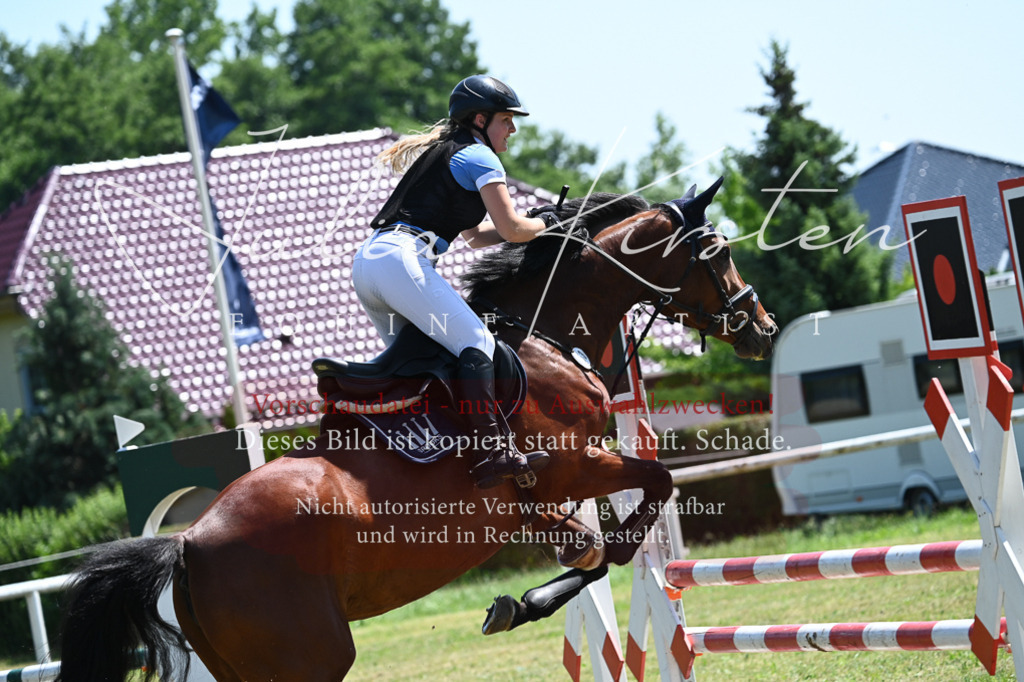 DSC_0665 | Pferde- und Turnierfotografie in Westsachsen. Pferdeportraits, Auftragszeichnungen und intuitive Kunst.