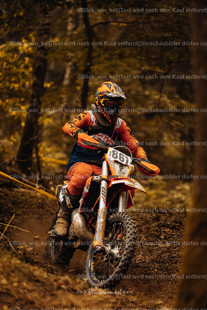 E68A5287 | blick_win_kel