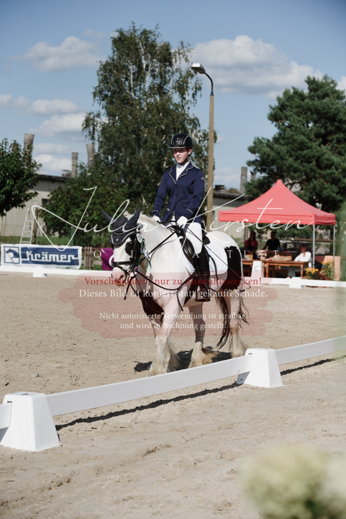 DSC_0235 | Pferde- und Turnierfotografie in Westsachsen. Pferdeportraits, Auftragszeichnungen und intuitive Kunst.