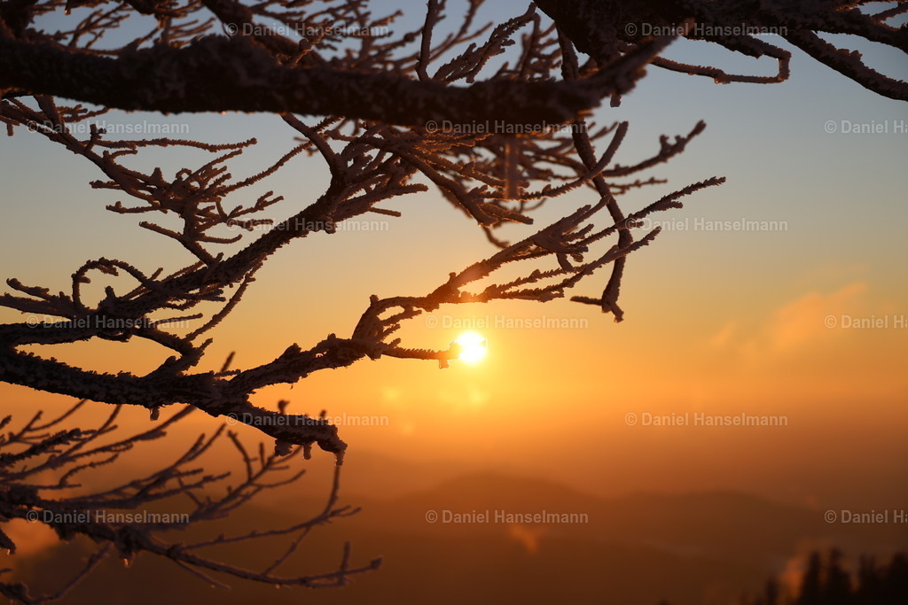 162A3895 | Hier finden Sie Poster, Leinwandfotos sowie viele weitere Fotoprodukte mit Motiven aus dem Schwarzwald, aus Freiburg und dem Kaiserstuhl zum Download und zum Bestellen.  - Realisiert mit Pictrs.com