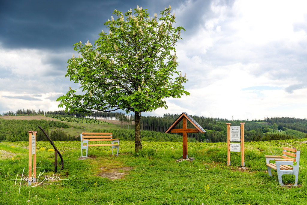 Westfeld und Umgebung 046 | Bilder und Impressionen zu jeder Jahreszeit aus dem Sauerland im Naturpark Sauerland-Rothaargebirge - Realisiert mit Pictrs.com