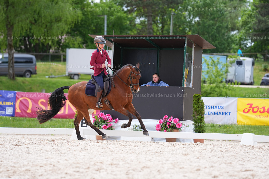 PI26_DR_278_StoibphotographySIN07935.jpg | working equitationturnier fotograf videograf stoibphotography marixx film working equitation deutschland reitsport turnierfotografie eventfotografie equestrian events