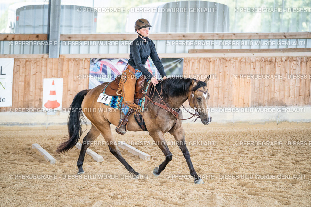 DSC03398 | Pferdegrafie