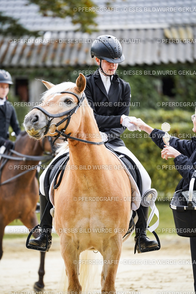 DSC04968 | Pferdegrafie