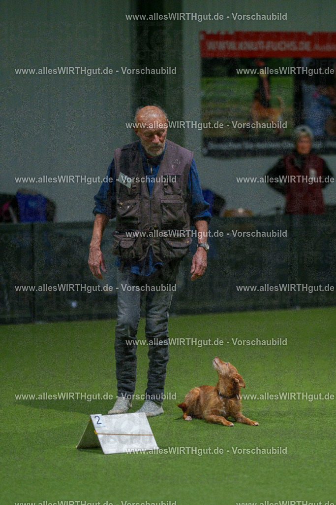 7R507596 | Professionelle Tierfotografie in Mönchengladbach von Daniel Wirth (allesWIRTHgut). Liebevolle & natürliche Bilder von Hunden & Katzen für unvergessliche Erinnerungen.