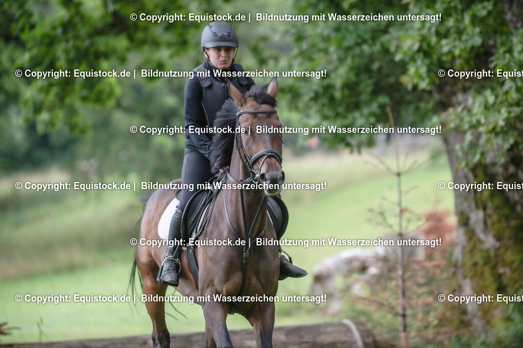 20250726_Vielseitigkeitslehrgang-Marbach_0422 | Foto: Thomas Hartig