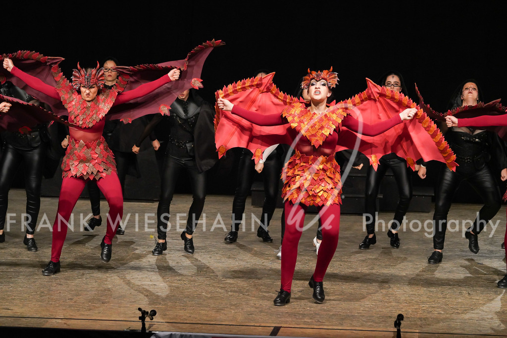 steppdm22_5939 | FRANK WIESEHAHN MEDIA - Realisiert mit Pictrs.com