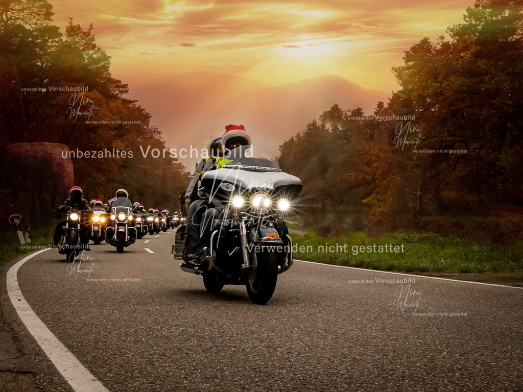 _16A2894-1 | Einzigartige Fotos von Hunden & Menschen –Actionfotos, Portraits, Vereinsaufnahmen & Paarshootings – authentisch, lebendig & mit Herz.